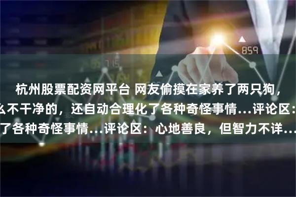 杭州股票配资网平台 网友偷摸在家养了两只狗，结果妈妈以为家里有什么不干净的，还自动合理化了各种奇怪事情…评论区：心地善良，但智力不详…