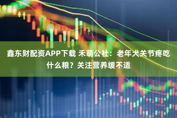 鑫东财配资APP下载 禾萌公社：老年犬关节疼吃什么粮？关注营养缓不适