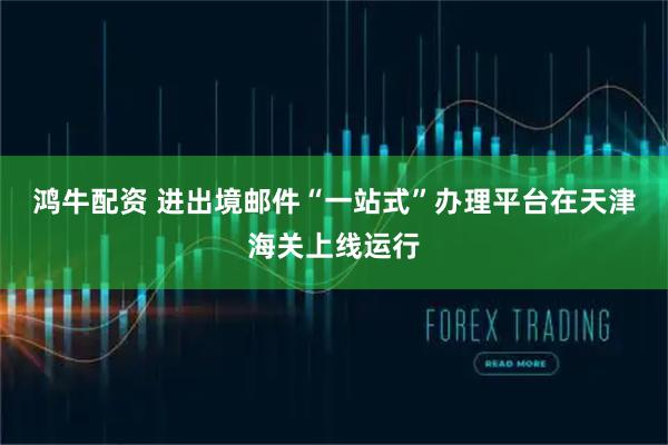 鸿牛配资 进出境邮件“一站式”办理平台在天津海关上线运行