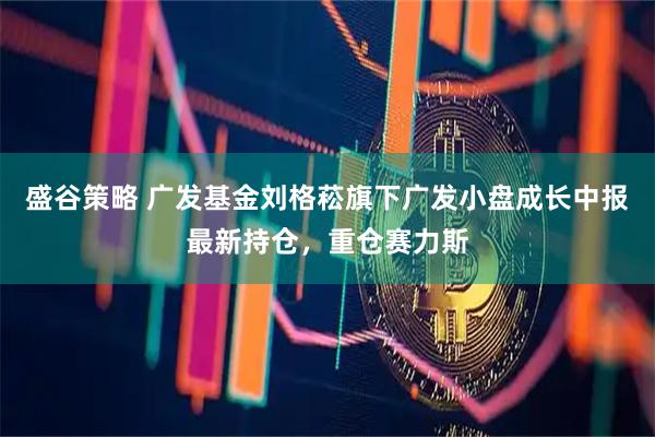 盛谷策略 广发基金刘格菘旗下广发小盘成长中报最新持仓，重仓赛力斯